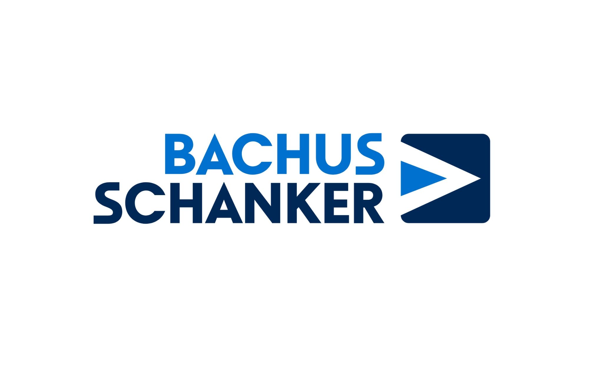 bachus-and-schanker